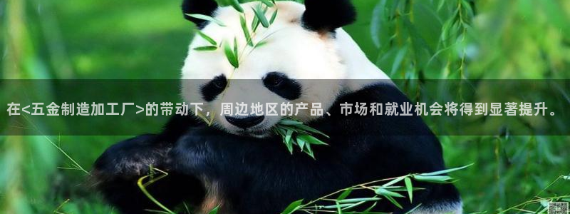 娱乐宝宝万事屋