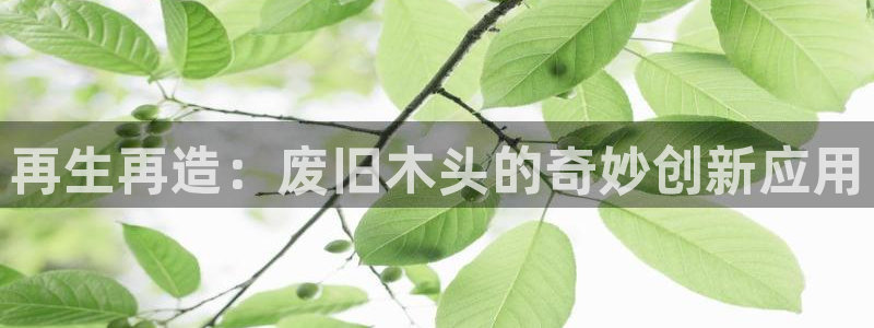 万事娱乐app