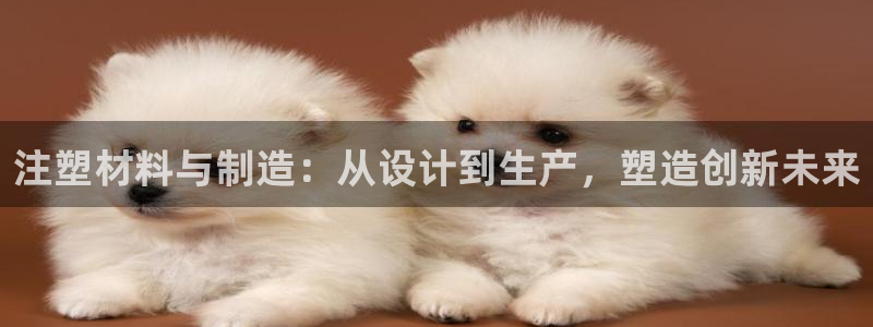 万事娱乐化