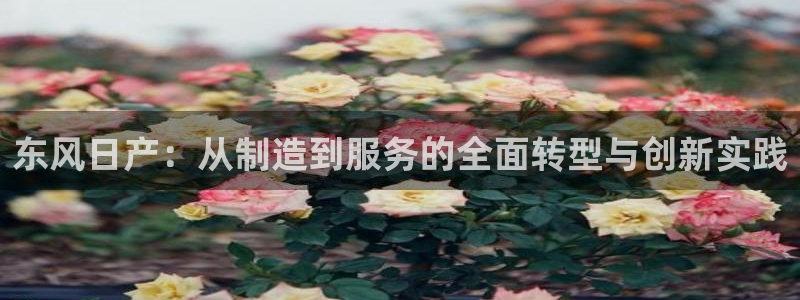 娱乐万事成