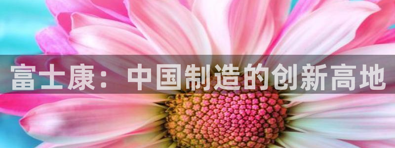 万事皆可娱乐的英语