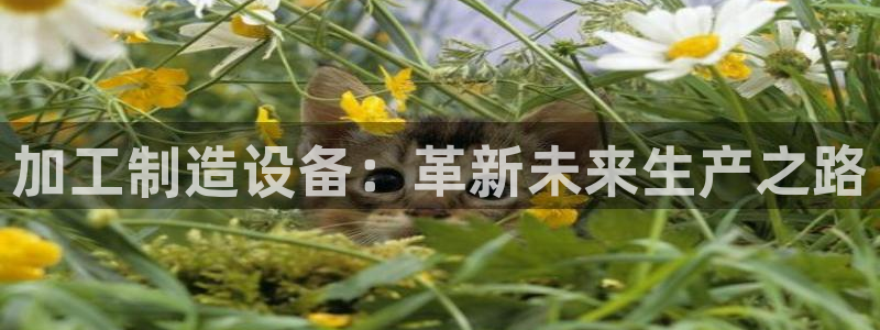 万事娱乐在线注册