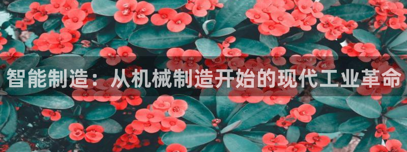 万事娱乐平台