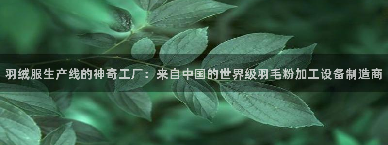 万事娱乐主管招聘信息