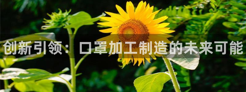 万事娱乐公司