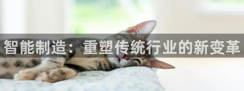 新宝万事娱乐
