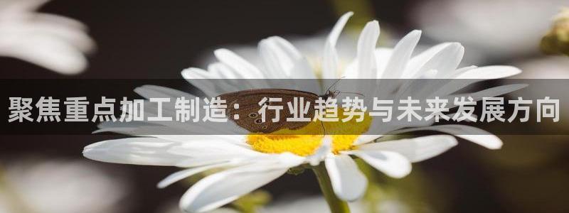 万事娱乐招商加盟