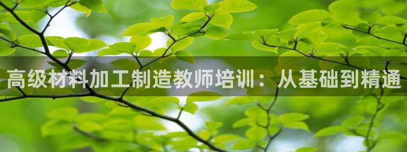 万事达娱乐i 判官