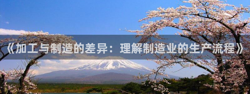万事娱乐网址大全