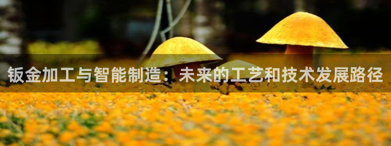 万事达娱乐首页