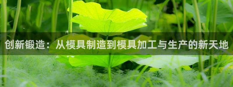 万事顺文化娱乐