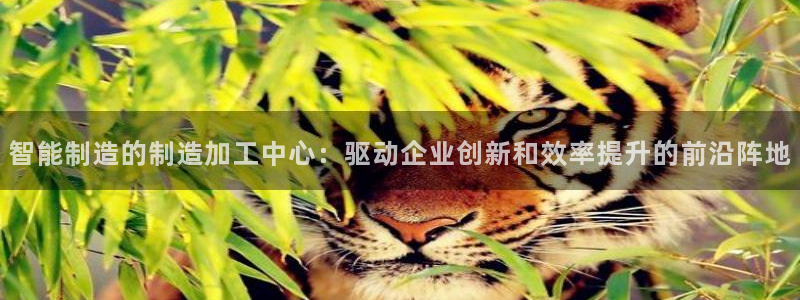 娱乐万事君