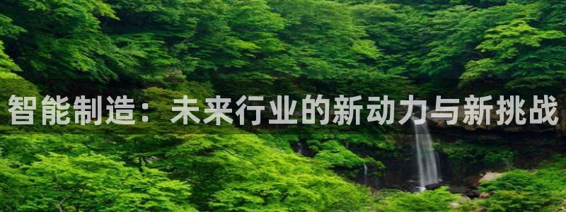 万事达娱乐朱善良