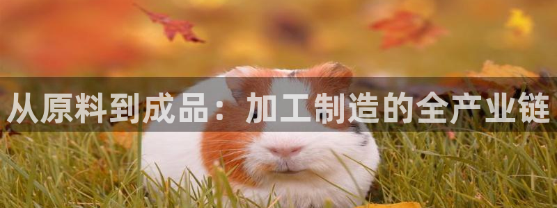 万事娱乐公司简介图片