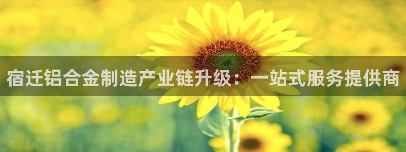 万事达娱乐招商