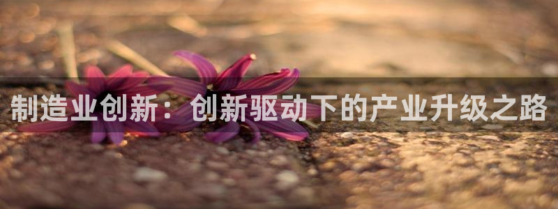 万事达娱乐j霜441200