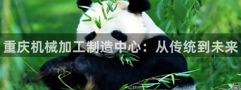 万事娱乐主管年薪多少