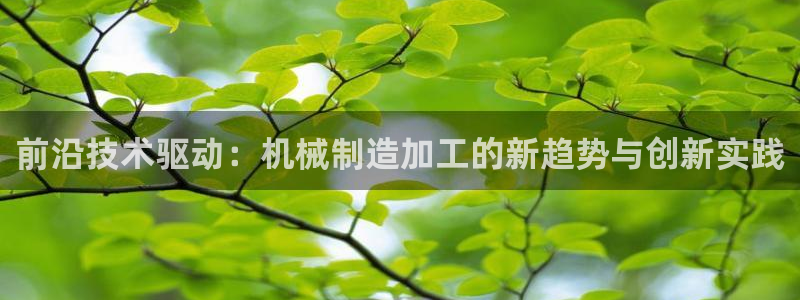 美女春节娱乐万事如意