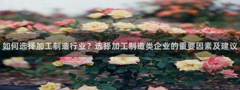 万事娱乐地址