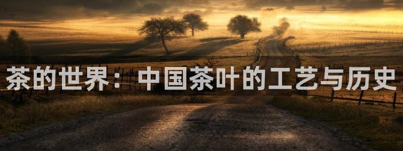 万事屋电玩娱乐