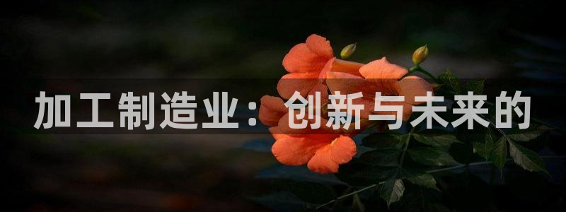 万事顺文化娱乐