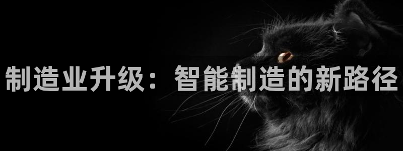 万事达娱乐 75505