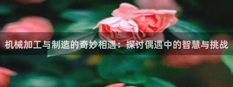 万事达娱乐官网