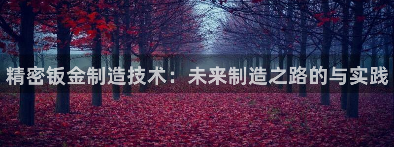 万事娱乐主管薪资