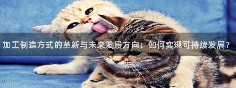 万事娱乐检测