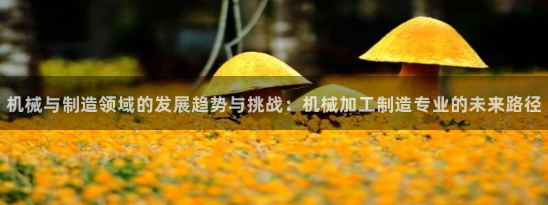 万事达娱乐指尖那