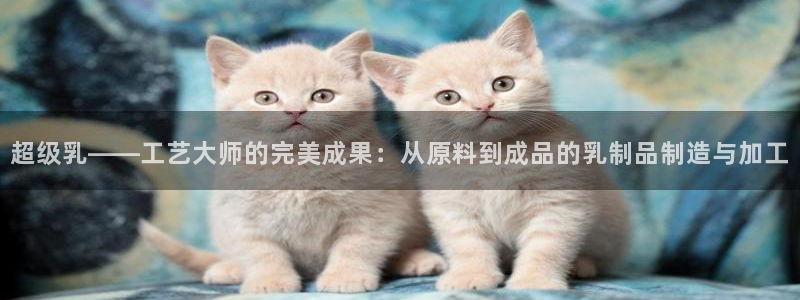 万事大吉娱乐项目