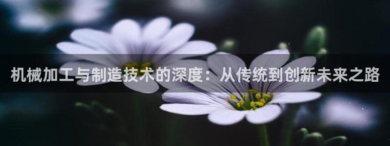 万事娱乐主管薪资结构