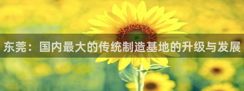 娱乐万事通焦作