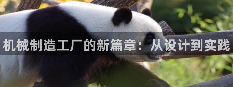 万事达娱乐唐善良