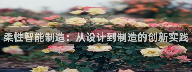 万事达娱乐请55312