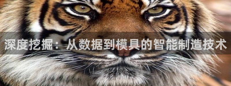 万事达娱乐网站