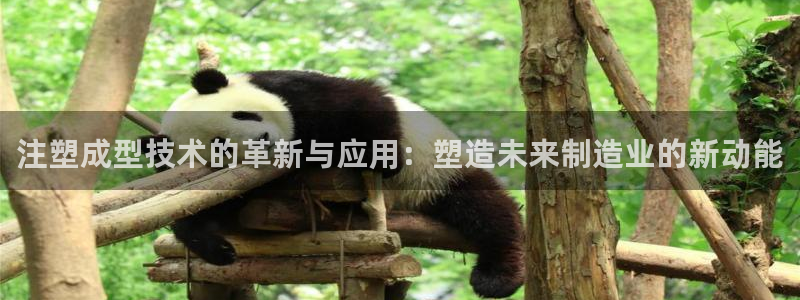 万事达娱乐高善良