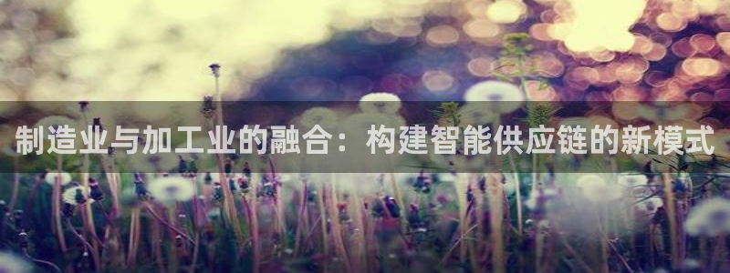 万事娱乐主管