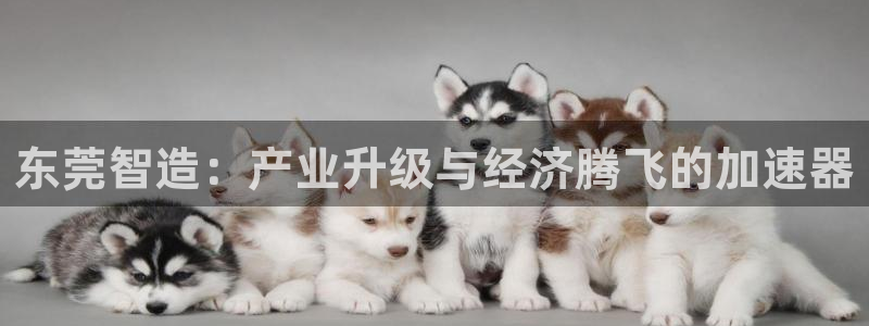 万事娱乐注册平台