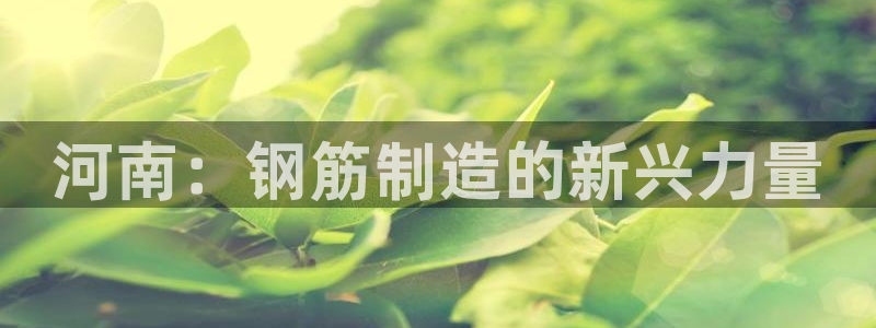 万事娱乐主管薪资结构