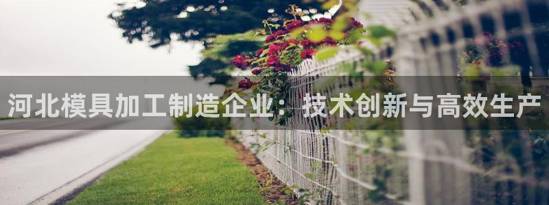 万事达娱乐球33300