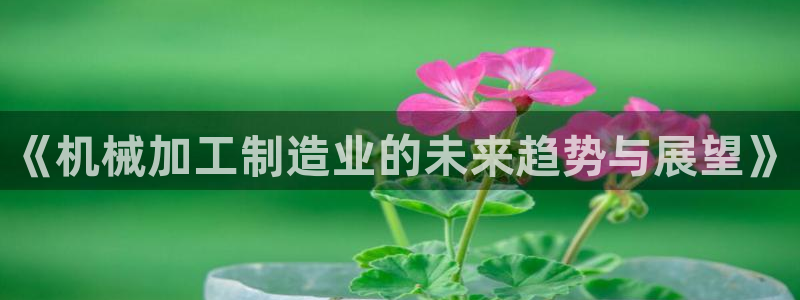 万事娱乐平台