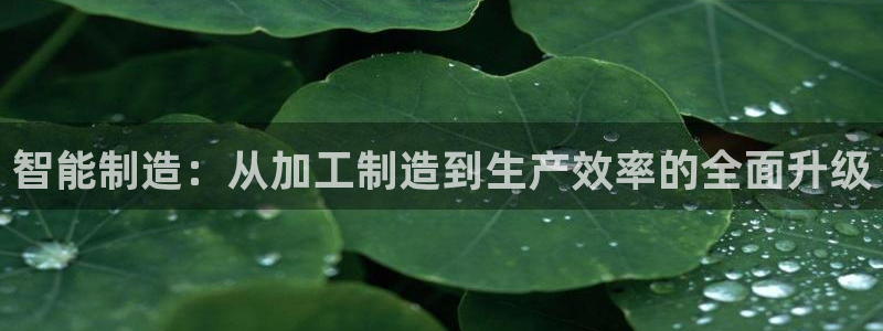 万事达娱乐 招商