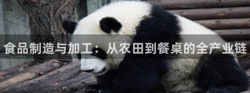 美女春节娱乐万事如意