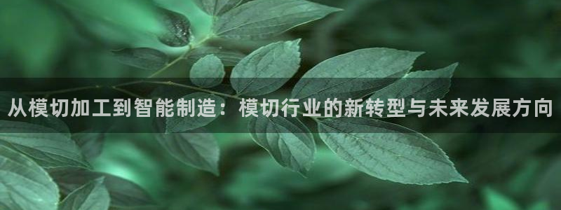 万事达娱乐指尖可