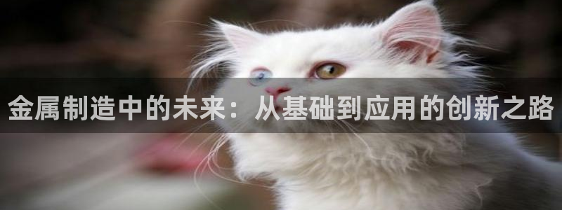 万事达娱乐股东