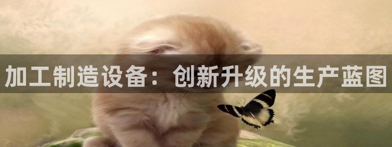 万事娱乐的介绍
