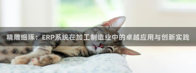 万事娱乐 注册