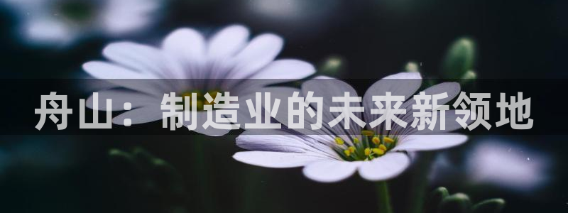 万事娱乐注册平台登录