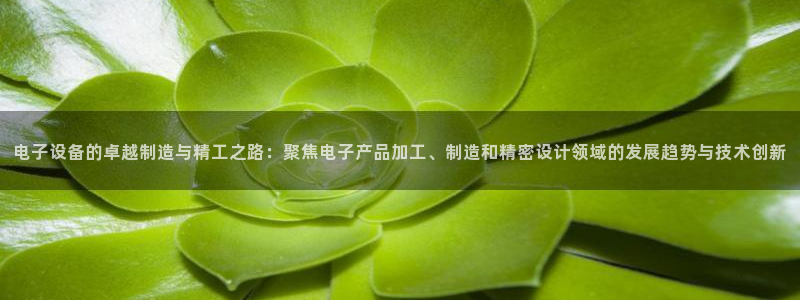 万事娱乐的介绍